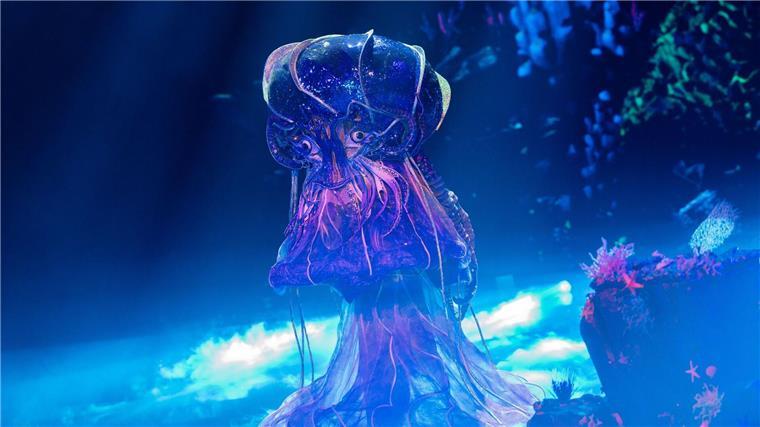 Masken, Raab und versteckte Kamera: Show-Dreikampf zum Fest Die Qualle steht im Finale von „The Masked Singer“. (Archivfoto)