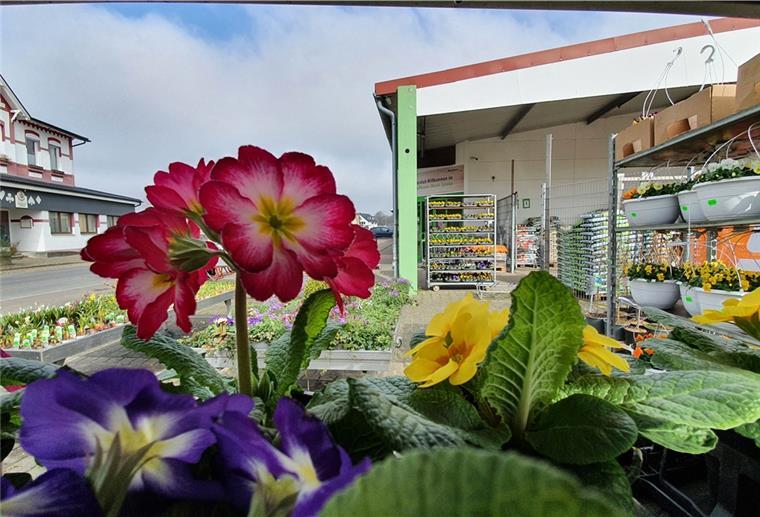 Die Raiffeisengenossenschaft Weser-Elbe hat Interesse, den Mini-Supermarkt „Tante Enso“ in ihren Raiffeisenmarkt in Spieka zu integrieren.