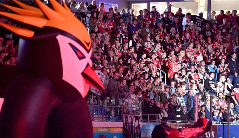 Die reisefreudigen Fans der Fischtown Pingiuins gehen wieder auf Tour.