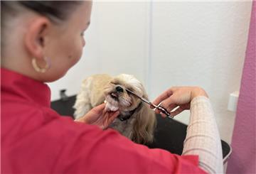 Frau sitzt und neben ihr ein Hund. 