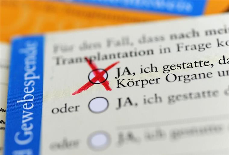 Die Rückseite eines ausgefüllten Organspendeausweises. Das Zustimmungsfeld ist angekreuzt.