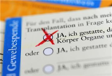 Die Rückseite eines ausgefüllten Organspendeausweises. Das Zustimmungsfeld ist angekreuzt.