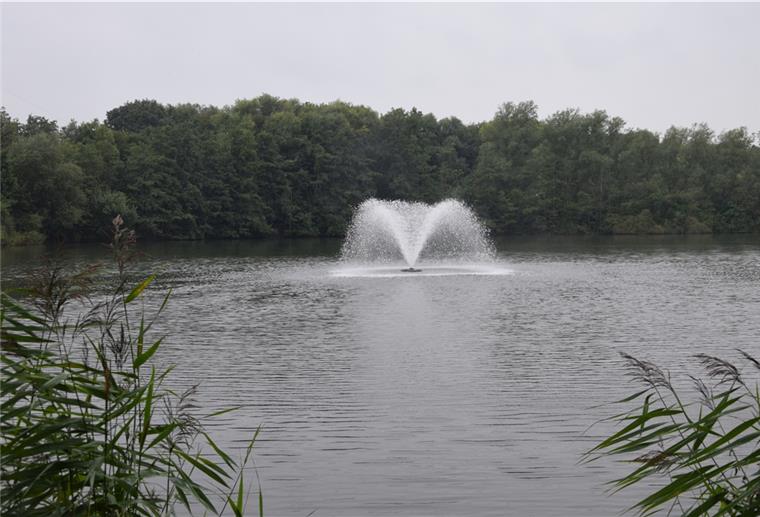 Pumpe soll Fischsterben im Seenpark verhindern Die Sauerstoffpumpe im Seenpark soll ein drohendes Fischsterben im Seenpark I verhindern.
