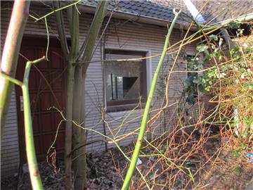 Die Scherben der eingeschlagenen Fenster fliegen offen verstreut herum - gefährlich für die Kitakinder und auch Hunde.