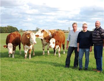 Die Schlachter Manfred Paradies und Torsten Wiese sowie Ochsenmäster Folkert Folkens (von links) stehen gemeinsam für landwirtschaftliche Produkte aus der Region. 