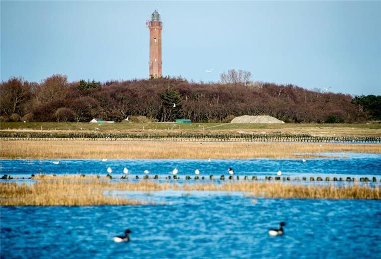 Schönste Entdeckungsreise in Niedersachsen: Natur, Kultur und Geschichte Die schönsten Sehenswürdigkeiten in Niedersachsen: Heide, Harz und mehr