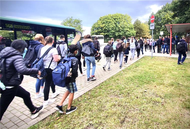 Cuxland: Schulamt will weniger Schüler in den Bussen Die Schulbusse im Cuxland sind überfüllt – Karin Kramer vom Schulamt des Landkreises Cuxhaven hofft auf Maßnahmen zu Entspannung der Lage.
