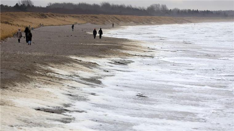 Was Fischer, Meeresschützer und Co. für die Nordsee fordern Die SDN fordert von einer neuen Bundesregierung mehr Einsatz gegen sogenannte Ewigkeitschemikalien, kurz PFAS, in der Umwelt. (Archivbild)