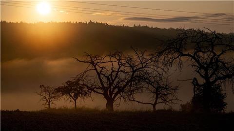 Die Sonne geht auf, während Nebel zwischen alten Obstbäumen aufsteigt.