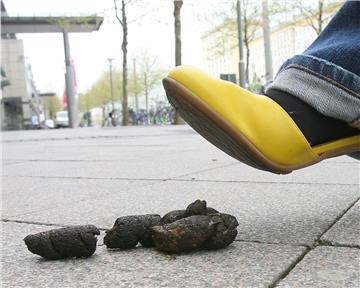 Die Stadt Goslar will, dass Touristen und Einwohner Hundehaufen in der Stadt mit bunten Fähnchen markieren. 