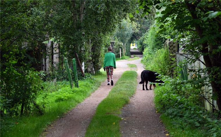 Die Stadt will rund 13 der 104 Hektar der Neuen Aue zu Bauland machen und Gärten opfern.