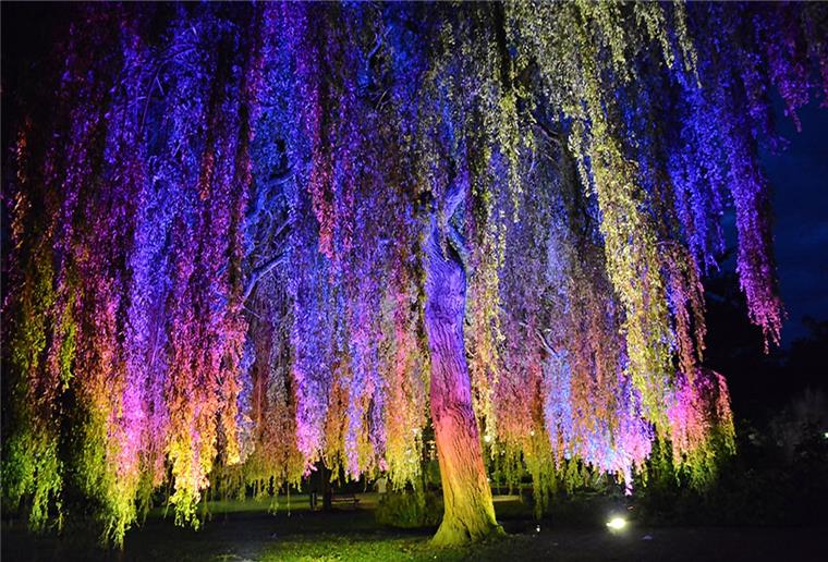 Die Strahler im Stadtpark sind teilweise schon auf LED-Technologie umgestellt worden.