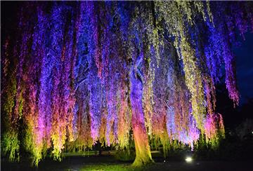 Die Strahler im Stadtpark sind teilweise schon auf LED-Technologie umgestellt worden.