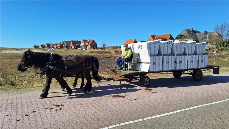 Die Strandkörbe wurden nach der Auktion Kutschenwagen zum Hafen transportiert.