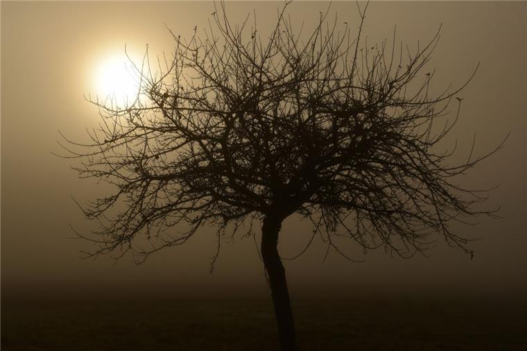 Wintersonnenwende: Endlich werden die Tage wieder länger Die Tage werden wieder länger. In der kommenden Nacht ist Wintersonnenwende. Foto Zucchi/dpa