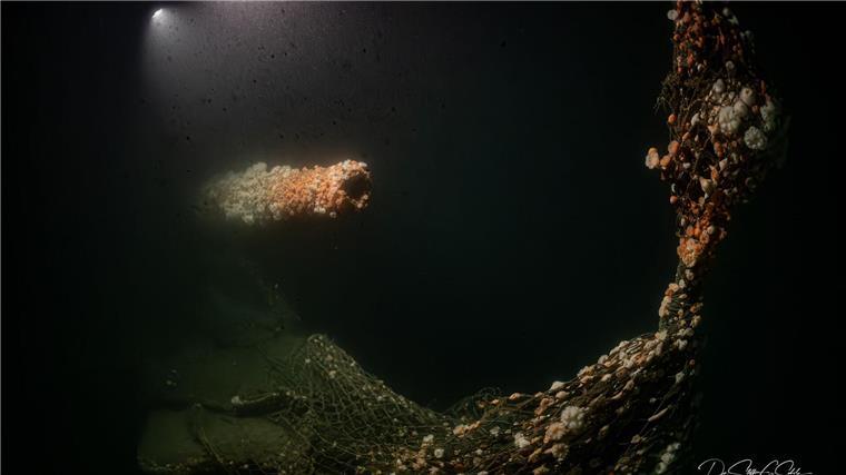 Die Tauchgänge fanden nach Angaben des Teams in großer Tiefe und unter herausfordernden Bedingungen statt.