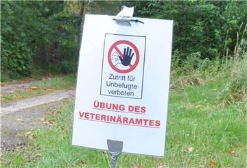 Die Übung fand nicht nur in den Büros, sondern auch im Wald statt. Landkreis Cuxhaven