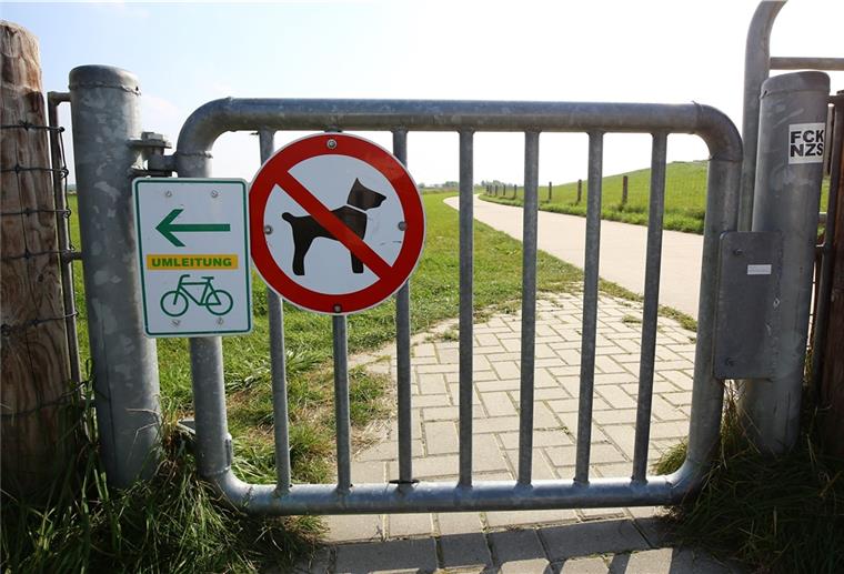 So steht es um die Radwege in Butjadingen Die Umleitungsschilder am Jadebusen-Radweg sollten am Dienstag entfernt werden - es gibt jedoch noch Klärungsbedarf.