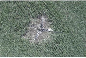 Ein Sportflugzeug ist in ein Maisfeld gestürzt.
