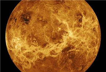 Die Venus.