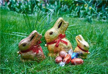 Osterhasen und Ostereier aus Schokolade liegen auf deiner Wiese.