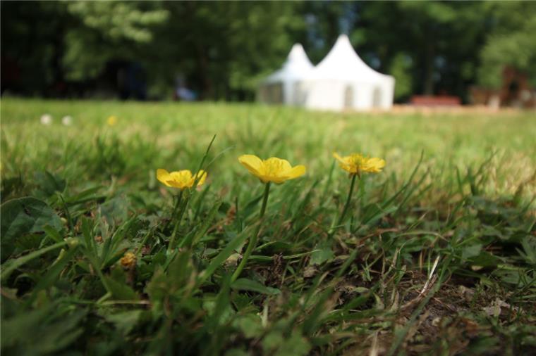 Die Vorbereitungen für Garten & Ambiente im Friedeburgpark haben begonnen. 