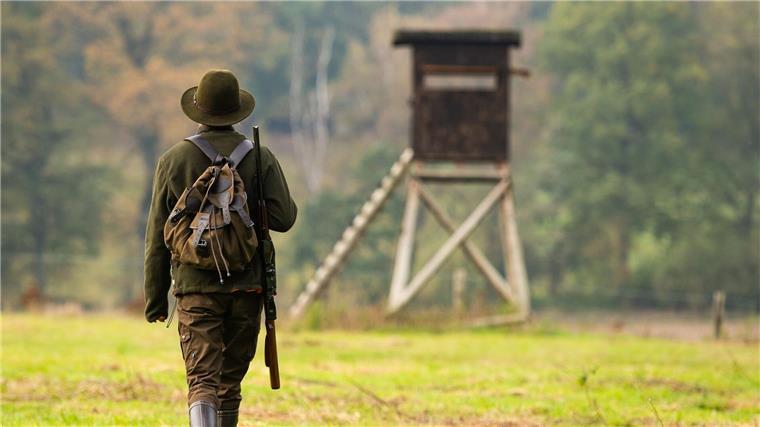 Jagdreform: Töten von Hunden soll verboten werden Die Vorgaben für die Jagd in Niedersachsen sollen in vielen Bereichen verändert werden. (Archivbild)