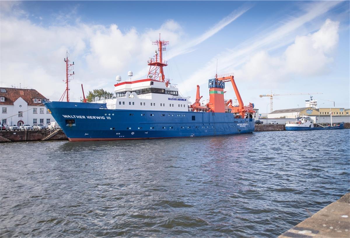 Bremerhaven: Fischforscher warten auf neues Schiff Die „Walther Herwig III“.