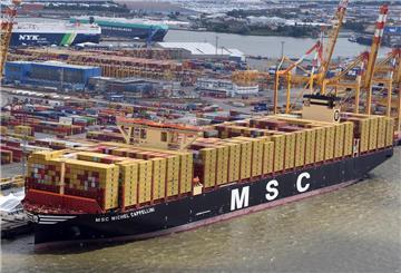 Die "MSC Michel Cappellini" liegt im Bremerhavener Hafen.