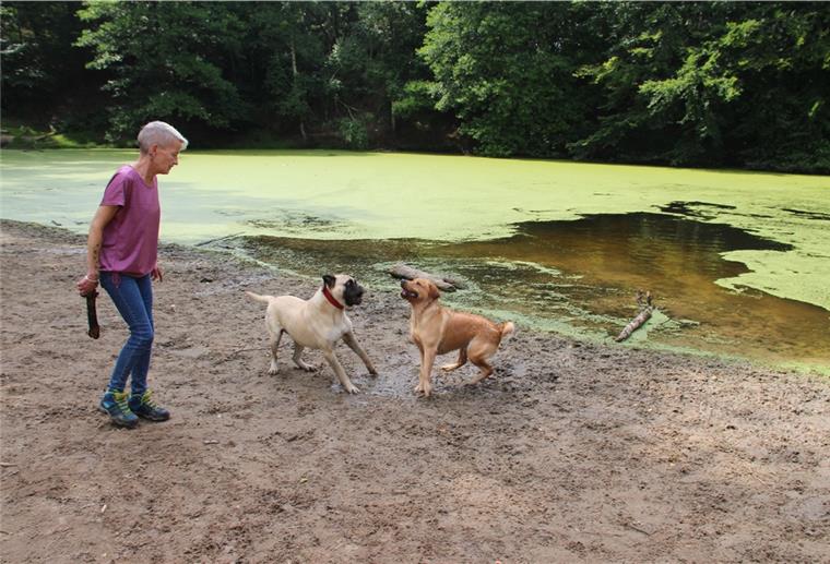 Die Wingsterin Wenke Rohde ist froh über die Freilaufgelegenheit für ihren Hund. Doch nicht immer geht es im Hundestrandbad Wingst so friedlich zu.