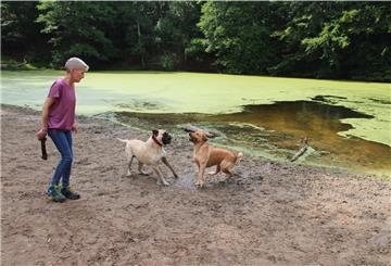 Die Wingsterin Wenke Rohde ist froh über die Freilaufgelegenheit für ihren Hund. Doch nicht immer geht es im Hundestrandbad Wingst so friedlich zu.