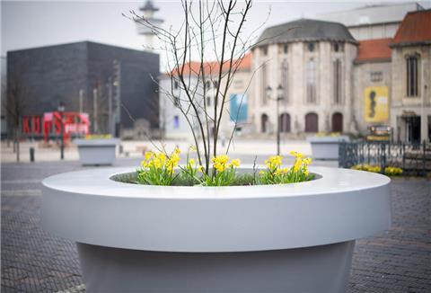 Ein großer Pflanzenkübel mit gelben Blumen steht auf einem öffentlichen Platz.