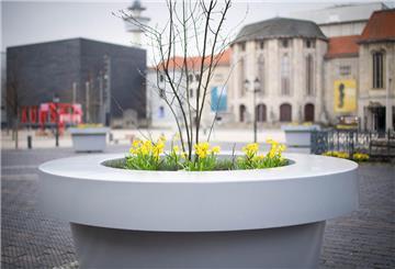 Ein großer Pflanzenkübel mit gelben Blumen steht auf einem öffentlichen Platz.