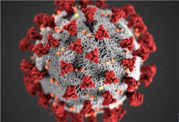 Die Zahl der mit dem Corona-Virus infizierten Personen ist in der Wesermarsch gestiegen.