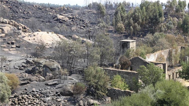 Bereits vier Tote bei Waldbränden in Portugal Die Zahl der Todesopfer der verheerenden Waldbrände ist in Portugal gestiegen. Historische Dörfer mussten evakuiert werden.