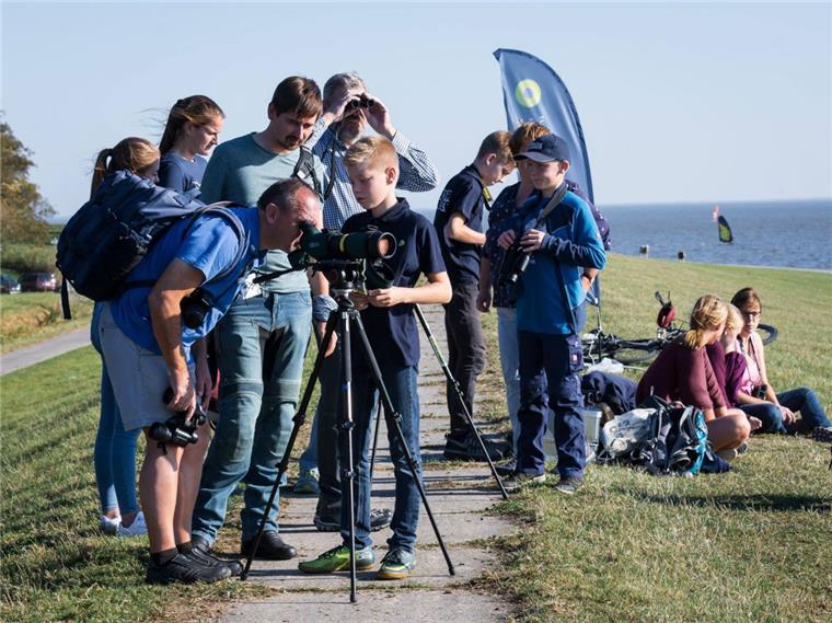 Die Zugvogeltage locken seit elf Jahren Vogelfreunde an die Nordseeküste. 