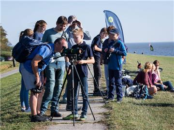 Die Zugvogeltage locken seit elf Jahren Vogelfreunde an die Nordseeküste. 