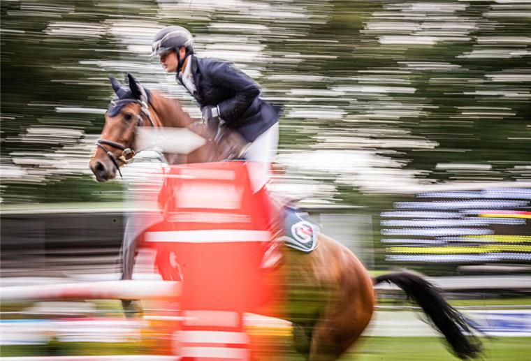 So viele Prüfungen wie nie: Elmloher Reitertage starten morgen Die Zuschauer können sich wieder vier Tage auf hochklassigen Pferdesport freuen.