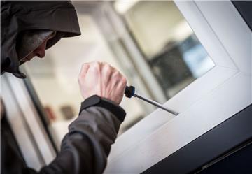 Diebstahldelikte machen 47,6  Prozent  der Gesamtkriminalität aus. Laut Polizeidirektor Harry Götze werden die Einbrüche auch im laufenden Jahr die größte Herausforderung für die Polizei werden.