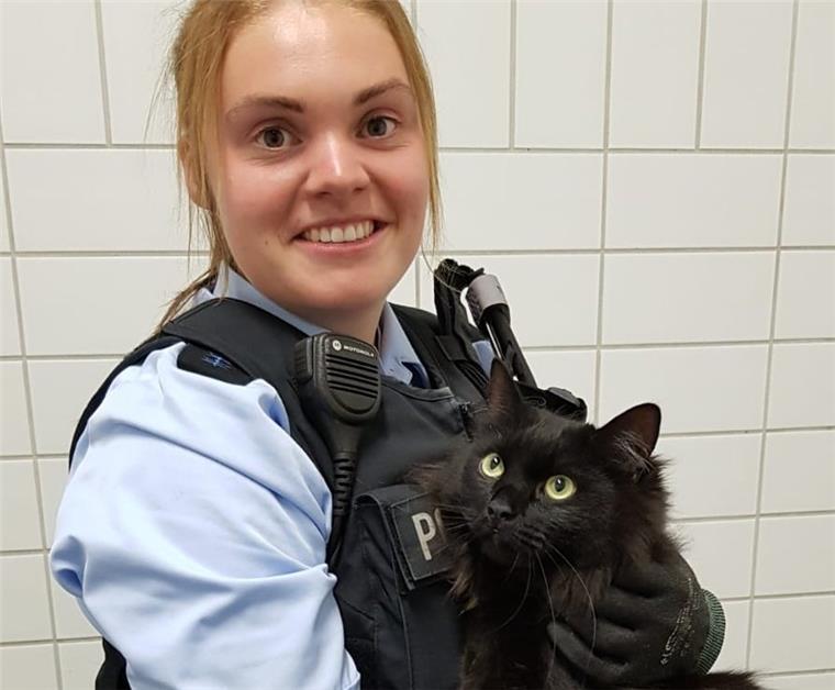 Diese Bundespolizistin rettet Katze Rosine am Bremer Hauptbahnhof.