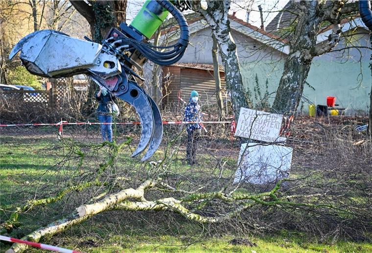Diese Fällaktion am Jägerhof dürfte ein Nachspiel haben.