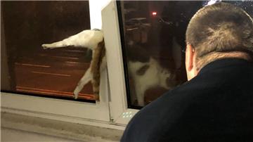 Diese Katze wird von der Feuerwehr in Bremerhaven-Geestemünde aus einer misslichen Lage befreit.
