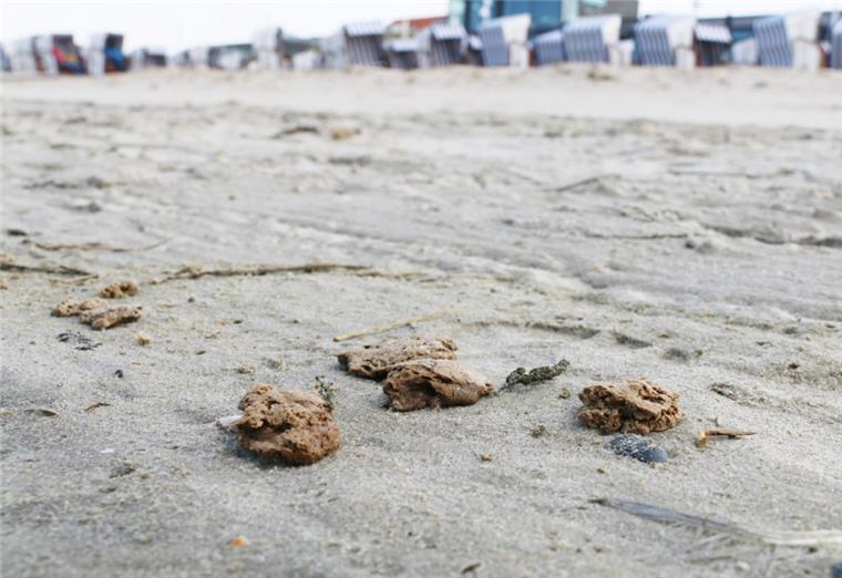 Diese Klumpen wurden in den vergangenen Tagen auf Norderney angespült. Unklar ist, woraus sie genau bestehen und ob sie gefährlich sind. Das Material wird derzeit untersucht.