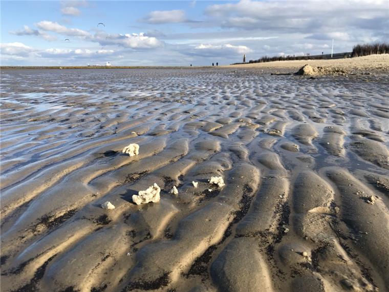 Diese Paraffinklumpen wurden am Strand in Cuxhaven-Döse entdeckt.