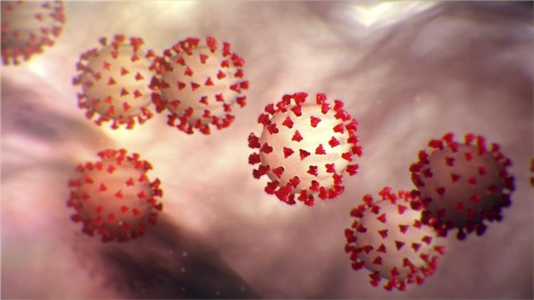 Diese vom Center for Disease Control and Prevention (CDC) erstellte Illustration zeigt den neuartigen Coronavirus 2019-nCoV. 