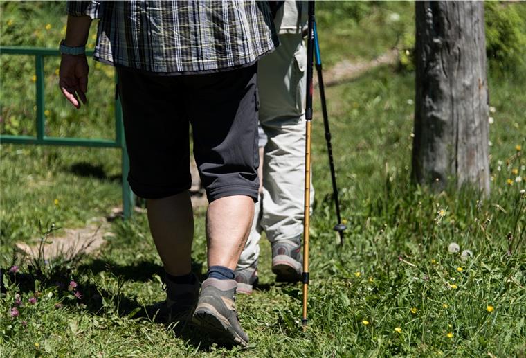 Rentner kann Ehefrau nach Wanderung nicht finden Diese Wanderung wird das Rentner-Ehepaar wohl nicht so schnell vergessen.