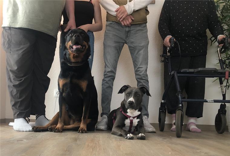 Mit Hunden in Not: Stehen Brandopfer bald wieder auf der Straße? Diese zwei Hunde und vier Menschen leben nach dem Brand in der Jacobistraße in Lehe in einer Behelfswohnung der Gewoba in Bremerhaven. Am Mittwoch sollen sie dort wieder raus. Drei der Betroffenen wissen dann nicht, wohin. (Wir haben die Bitte der Brandopfer respektiert, sie nicht erkennbar abzubilden.)