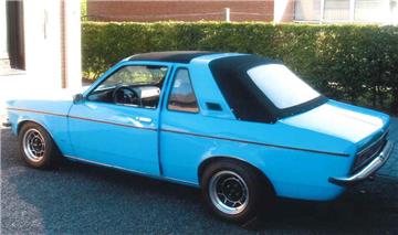 Dieser blaue Oldtimer ist aus einer Garage gestohlen worden.