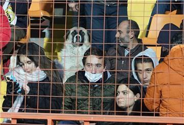 Dieser Hund auf der Tribüne wird im Internet gefeiert.