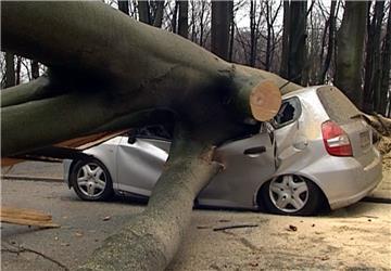 Dieses Auto in Dortmund wurde von einem tonnenschweren Baum begraben.